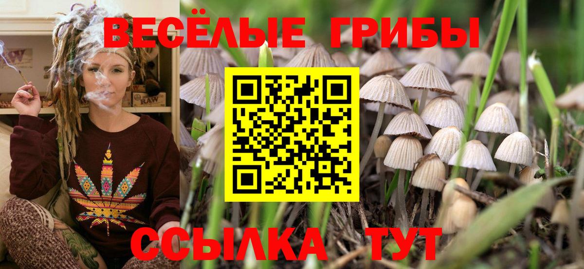 Одинцово  Галлюциногенные грибы Psilocybine cubensis  Вход с VPN 